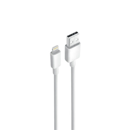 Câble Data BLACKWAVE BC01L USB vers Lightning 2A – 100 cm