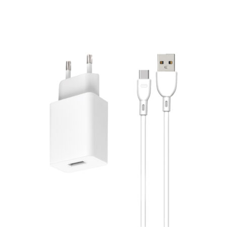 Chargeur Intelligent BLACKWAVE BL02C avec Câble USB-A vers USB Type-C 100 cm