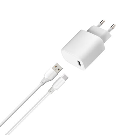 Chargeur Intelligent BLACKWAVE BL03C avec Câble USB-A vers USB Type-C 100 cm